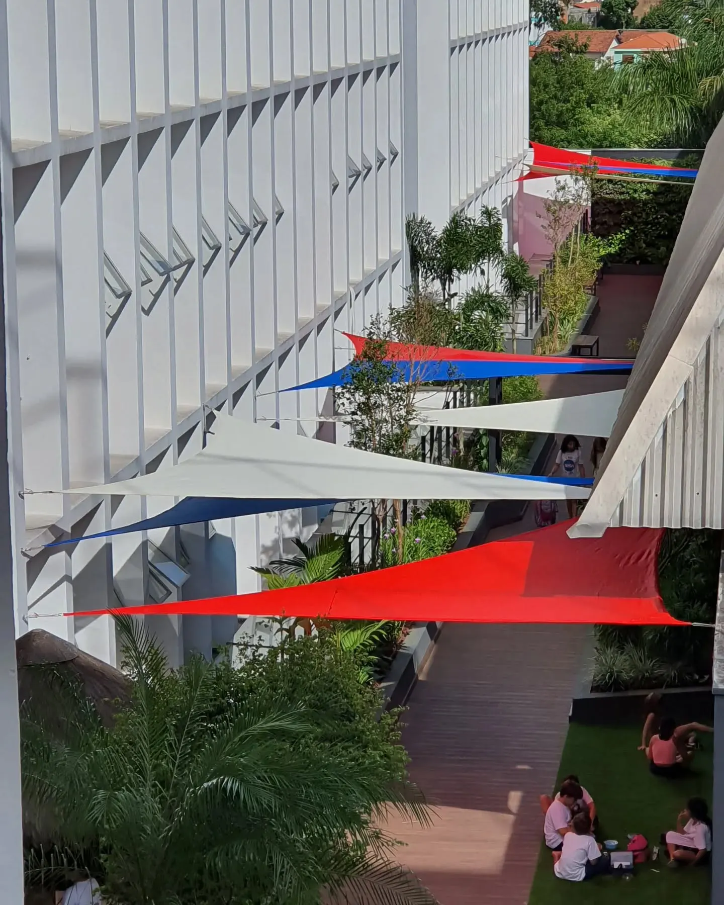 Toldos vela coloridos